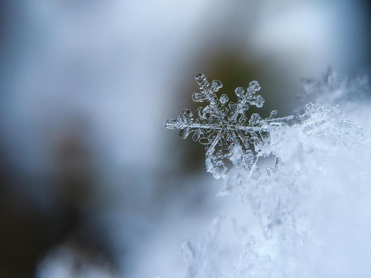 描写雪的诗句古诗大全9首（描写雪的经典诗词）