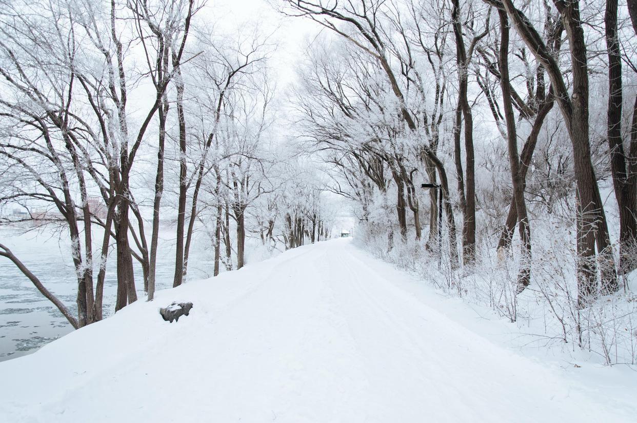 描写雪的诗句古诗大全9首（描写雪的经典诗词）