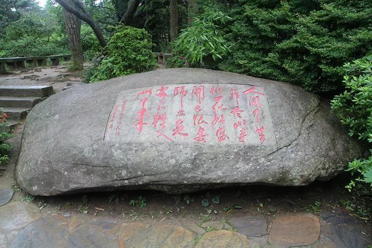 《大林寺桃花》翻译全文（大林诗桃花译文）