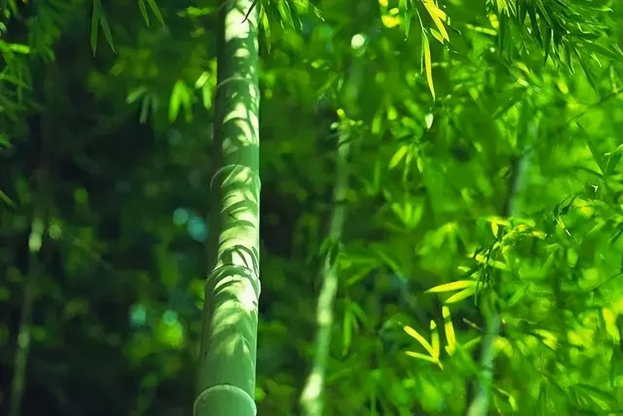 夏日诗词30首（炎炎夏日送清凉的诗词）