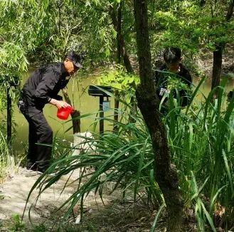 炮台湾湿地公园里的这个底栖小生物，你认识吗？