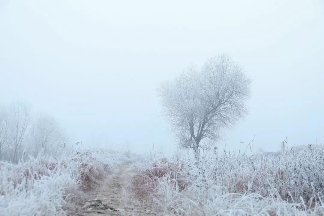 十首关于咏雪的诗句（咏雪不带雪的诗句）