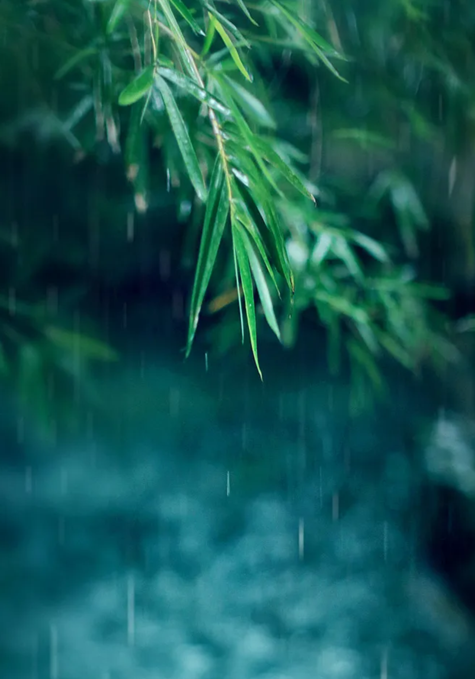 关于小雨的诗句我有哪些