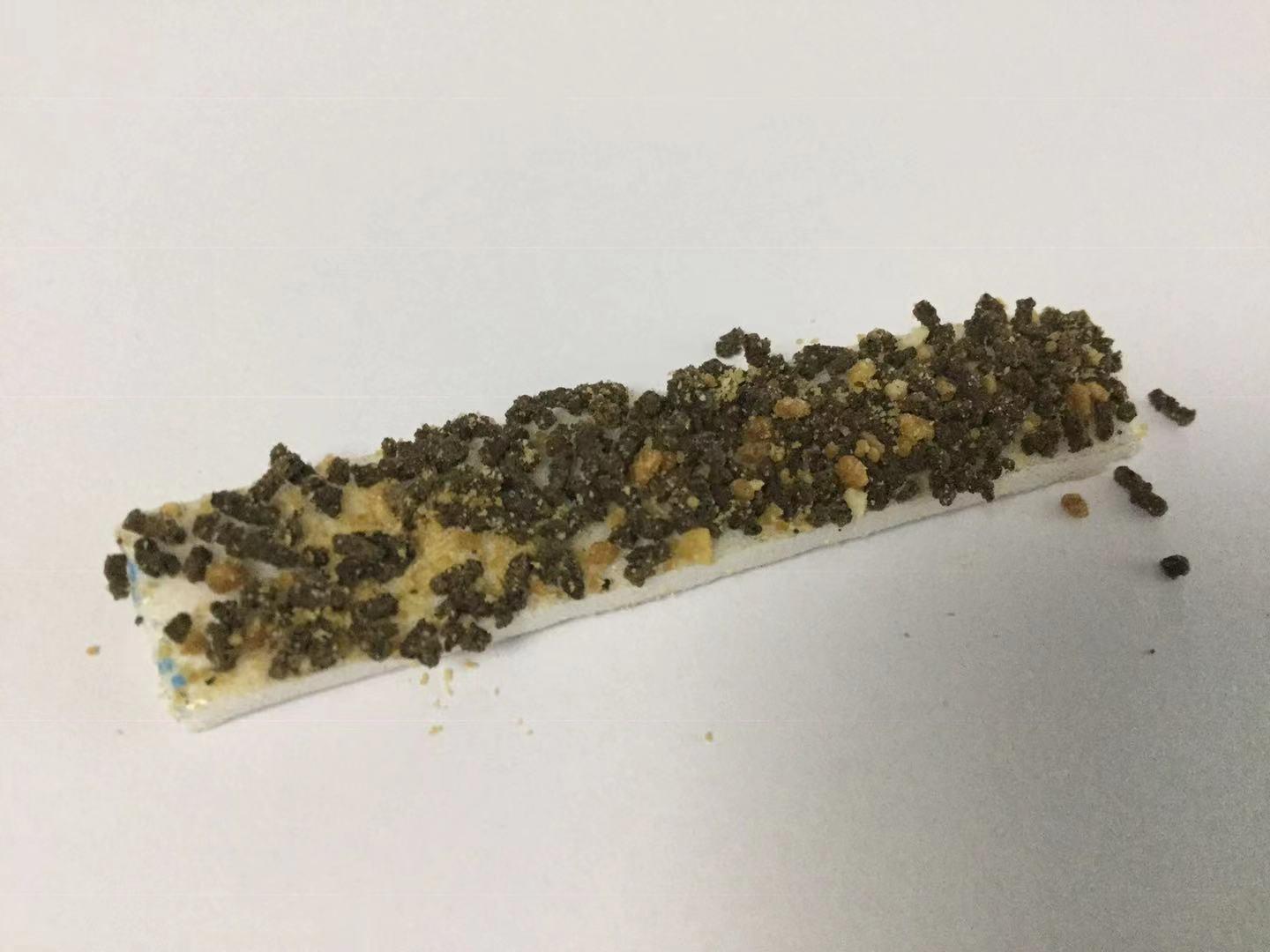 彻底杀死蟑螂小妙招（蟑螂药怎么使用?）