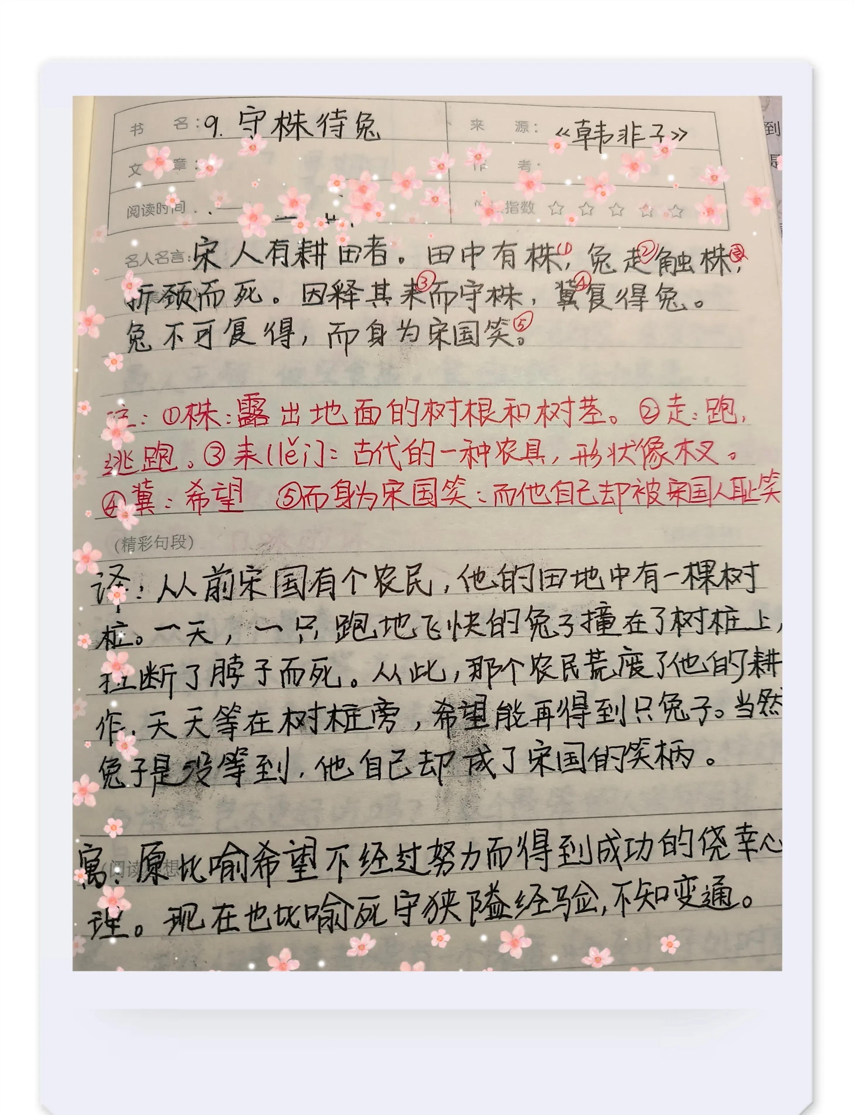 文言文守株待兔的原文及翻译（小学文言文守株待兔教案）