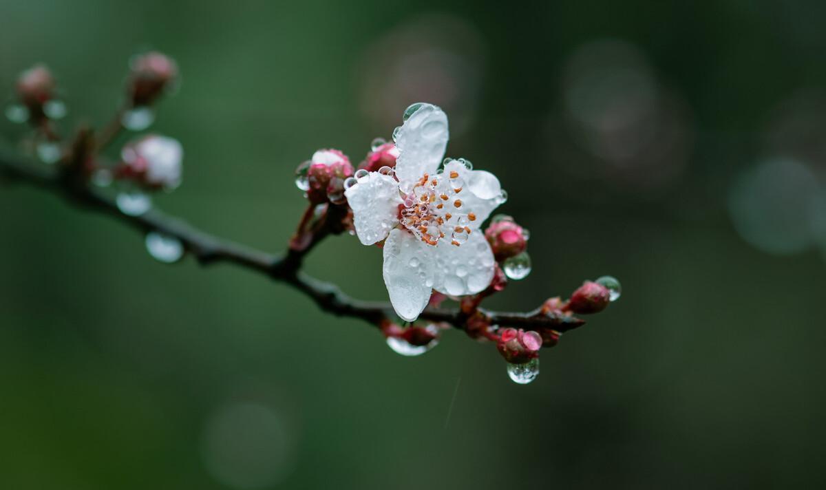 朋友圈下雨天的文案（下雨天朋友圈配文）