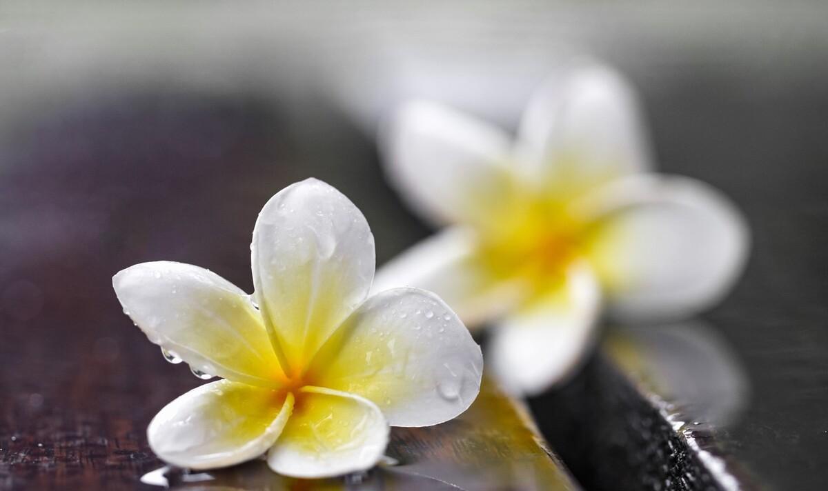 朋友圈下雨天的文案（下雨天朋友圈配文）