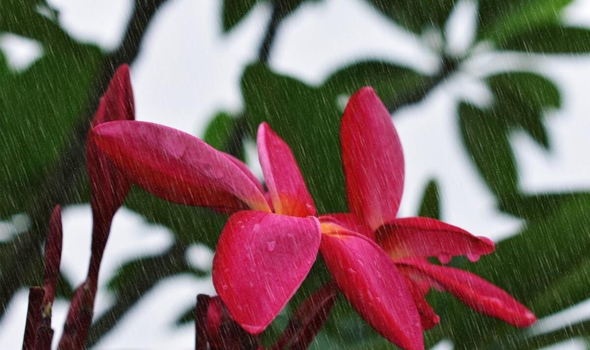 朋友圈下雨天的文案（下雨天朋友圈配文）