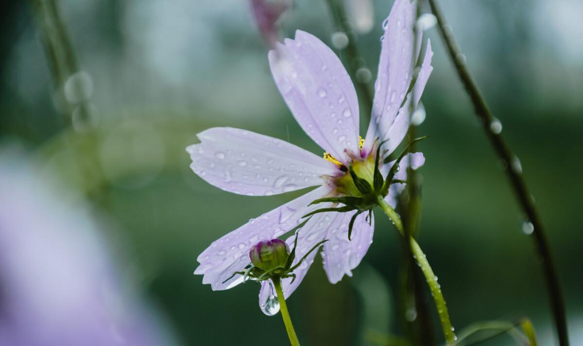 朋友圈下雨天的文案（下雨天朋友圈配文）