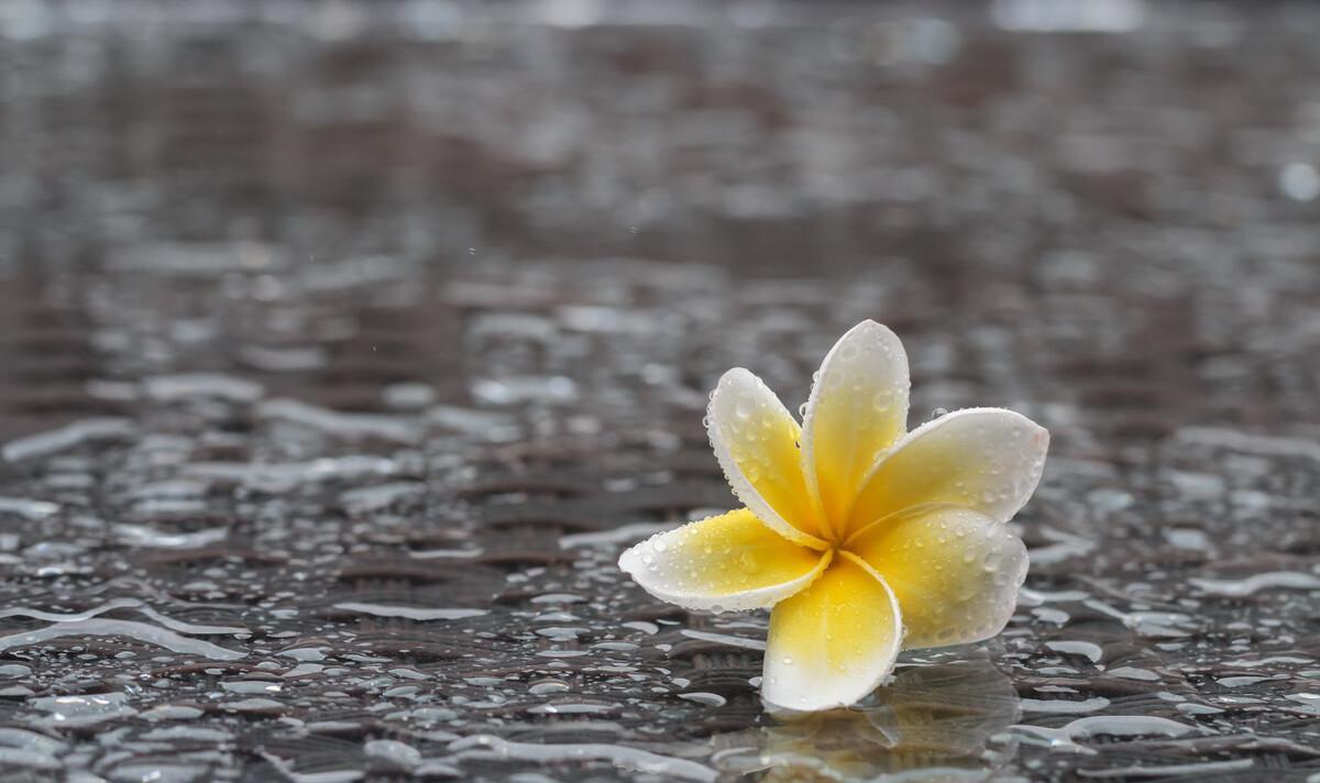 朋友圈下雨天的文案（下雨天朋友圈配文）