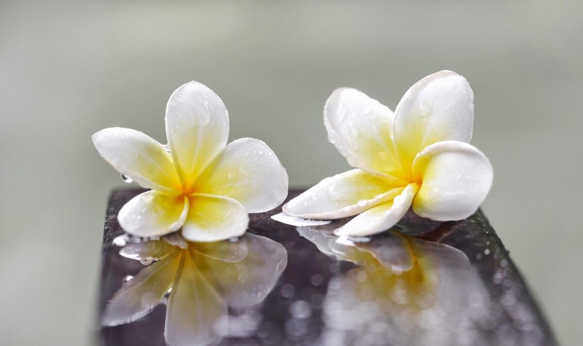 朋友圈下雨天的文案（下雨天朋友圈配文）