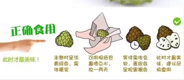 释迦果产地在哪里（吃释迦果的好处与功效）