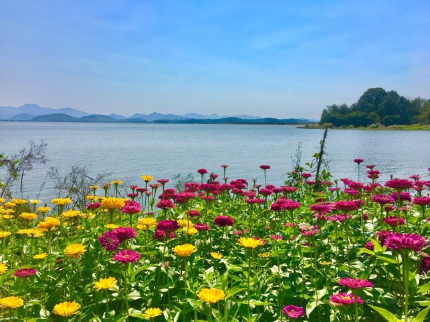 感谢信英语高考作文模板