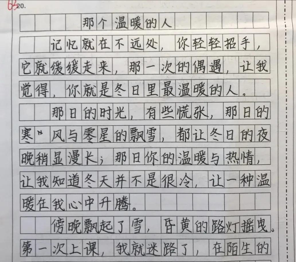 江苏状元作文《平凡的孔子》600字