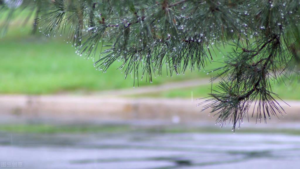 抖音下雨天伤感文案（抖音下雨天的心情经典句子）