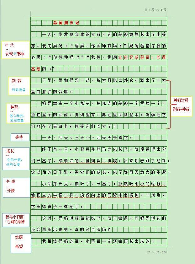 植物蒜苗的作文（我的植物朋友蒜苗作文400字）