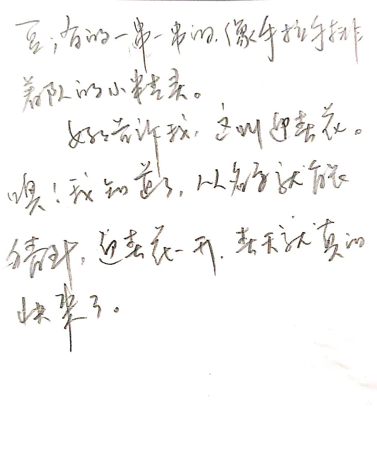 迎春花作文500字左右