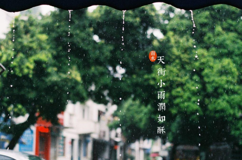 雨水时节诗句（雨水诗句古诗大全）