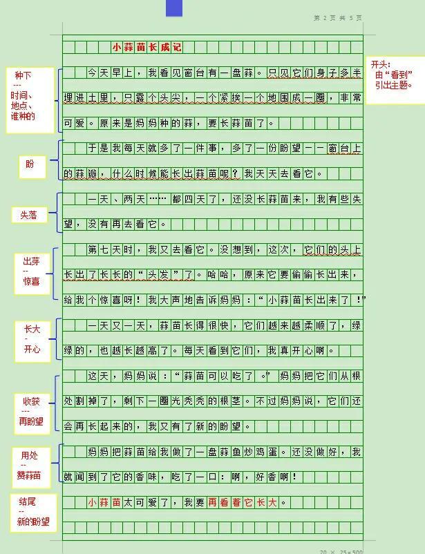 植物蒜苗的作文（我的植物朋友蒜苗作文400字）