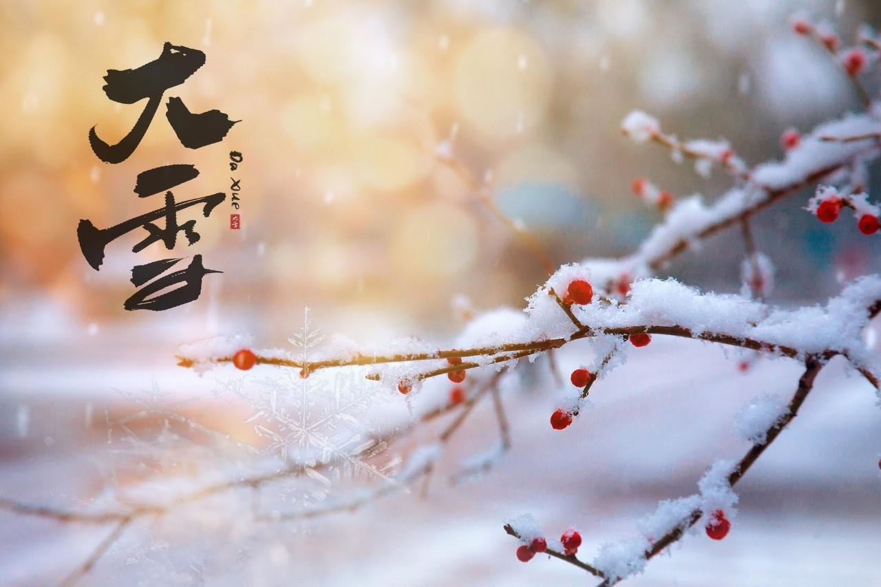 咏冬雪的诗句（咏雪诗词大全16首）