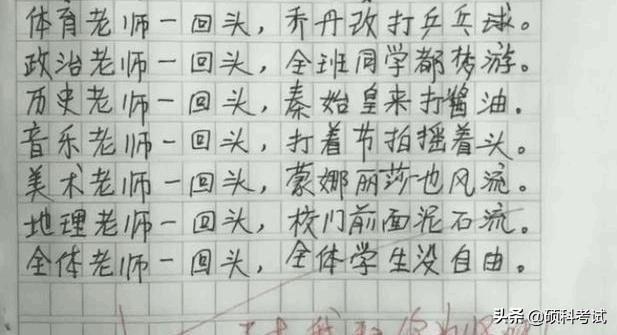 100分的小学生作文