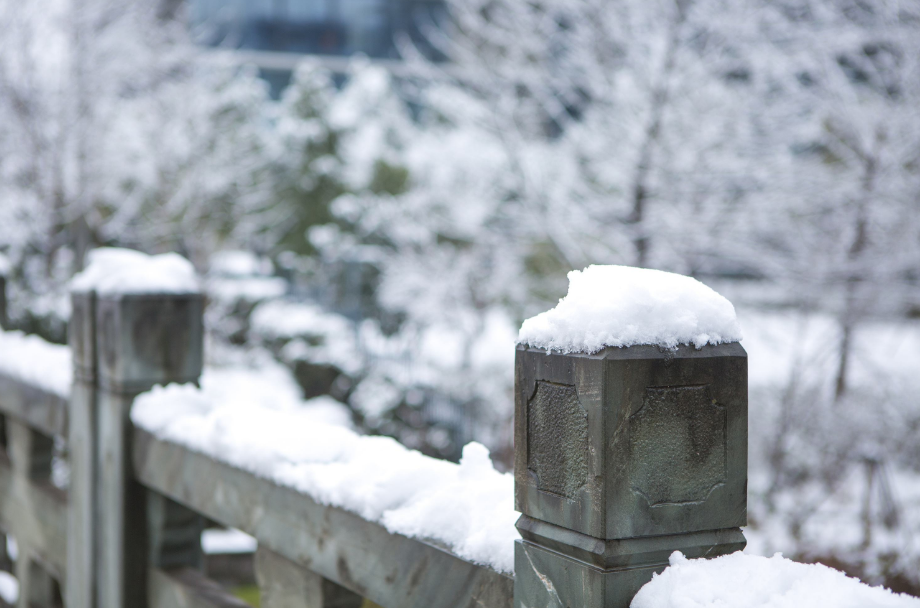 关于雪中的诗句有哪些（形容雪中美景的诗句）