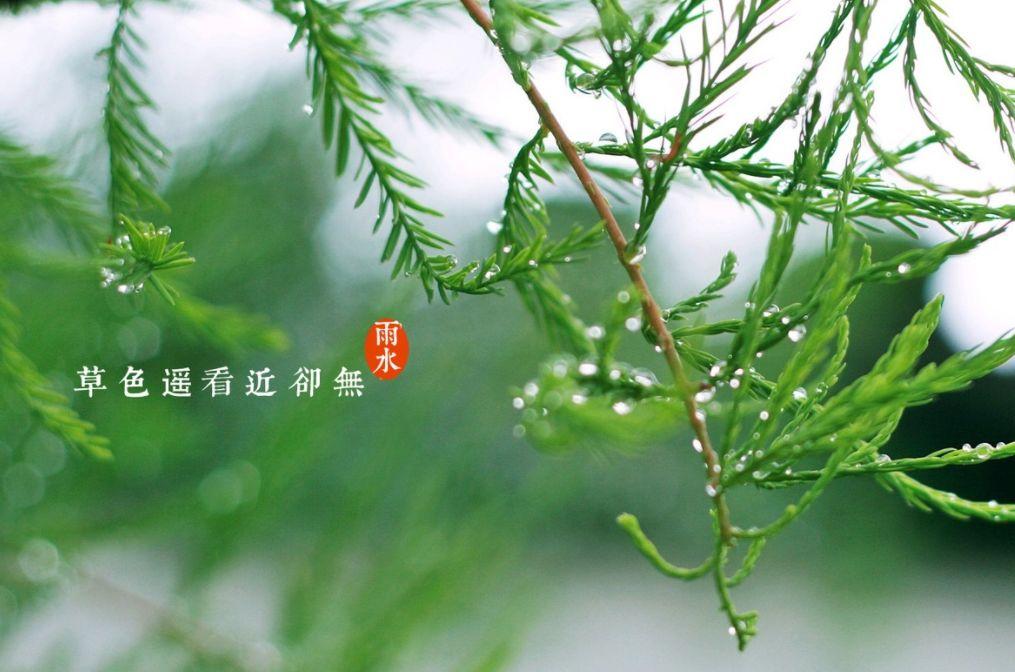 雨水时节诗句（雨水诗句古诗大全）