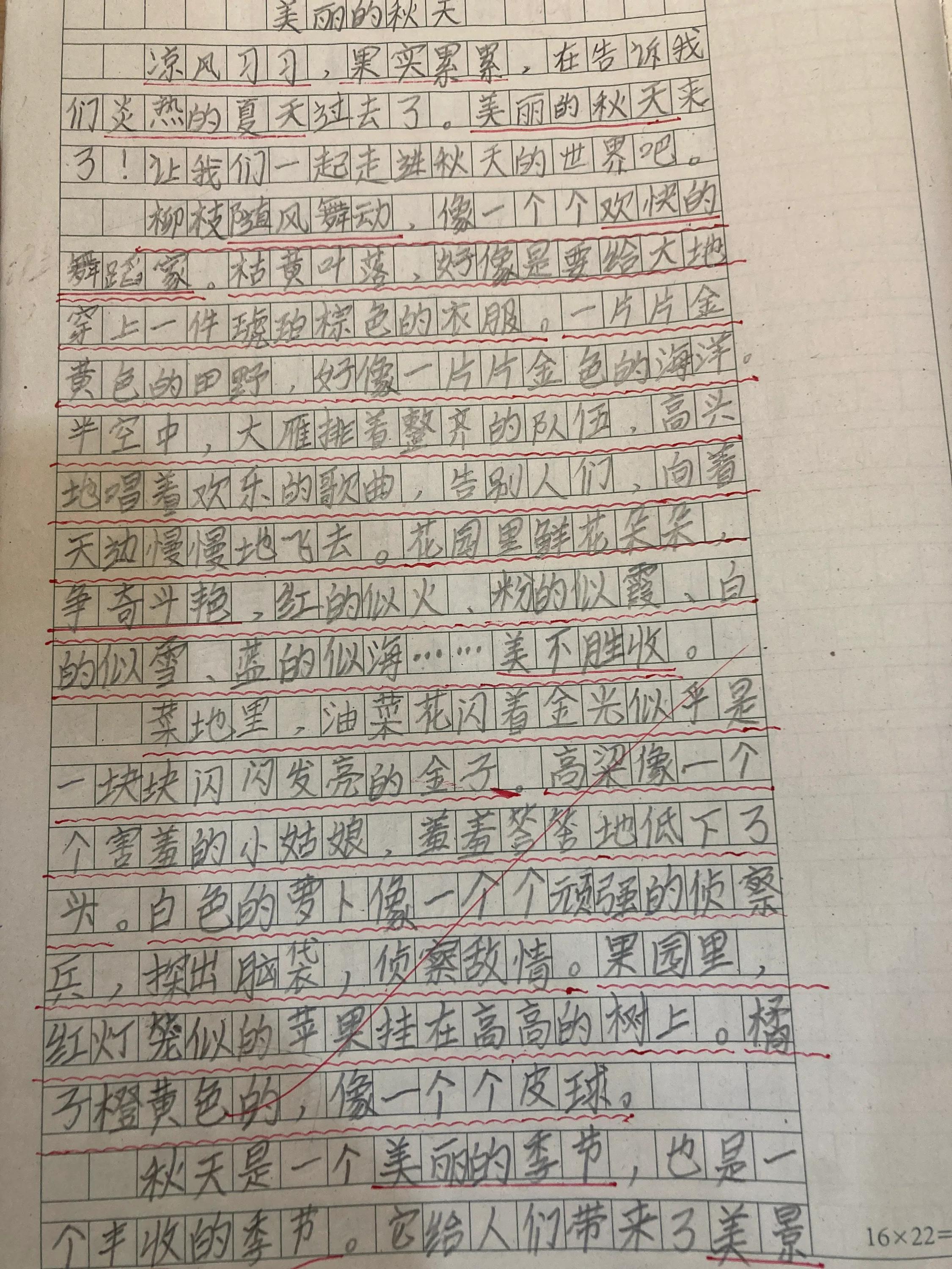 美丽的秋天300作文