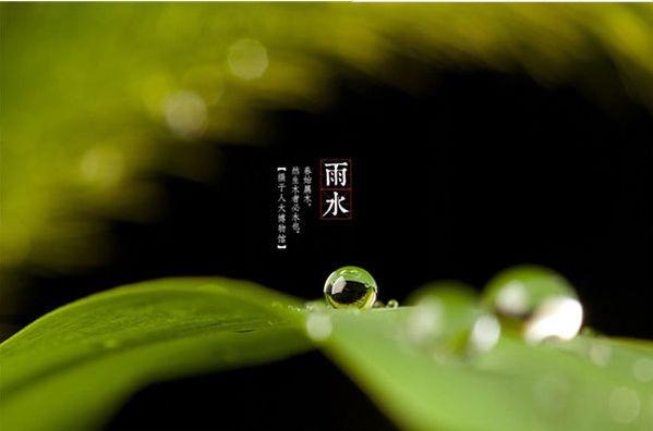 雨水时节诗句（雨水诗句古诗大全）