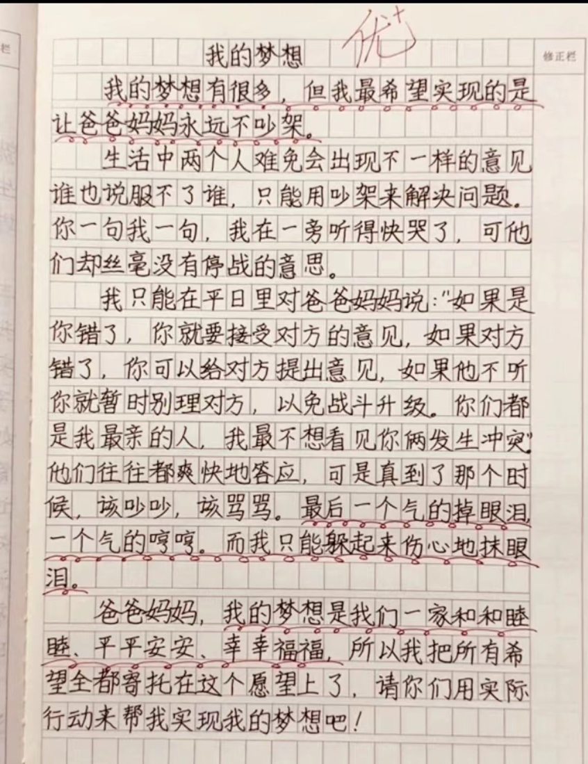 我的梦想作文600字优秀作文