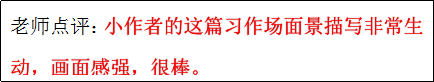 作文《吃一堑,长一智》600字