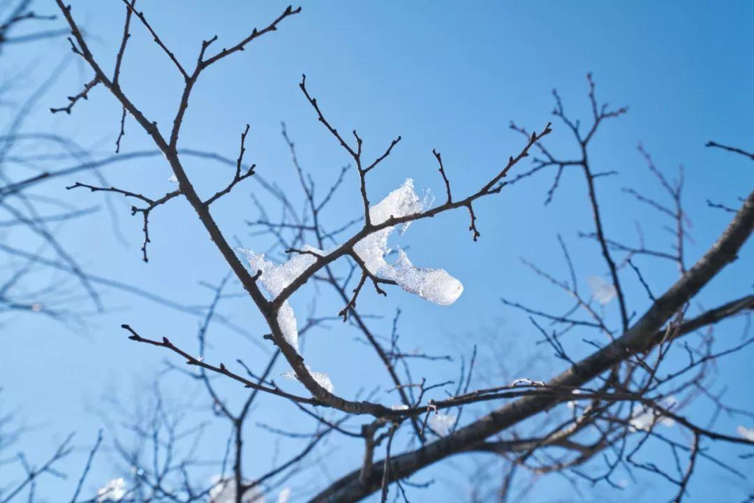 出自诗词关于冬天的成语有哪些（关于冬天的四字成语）