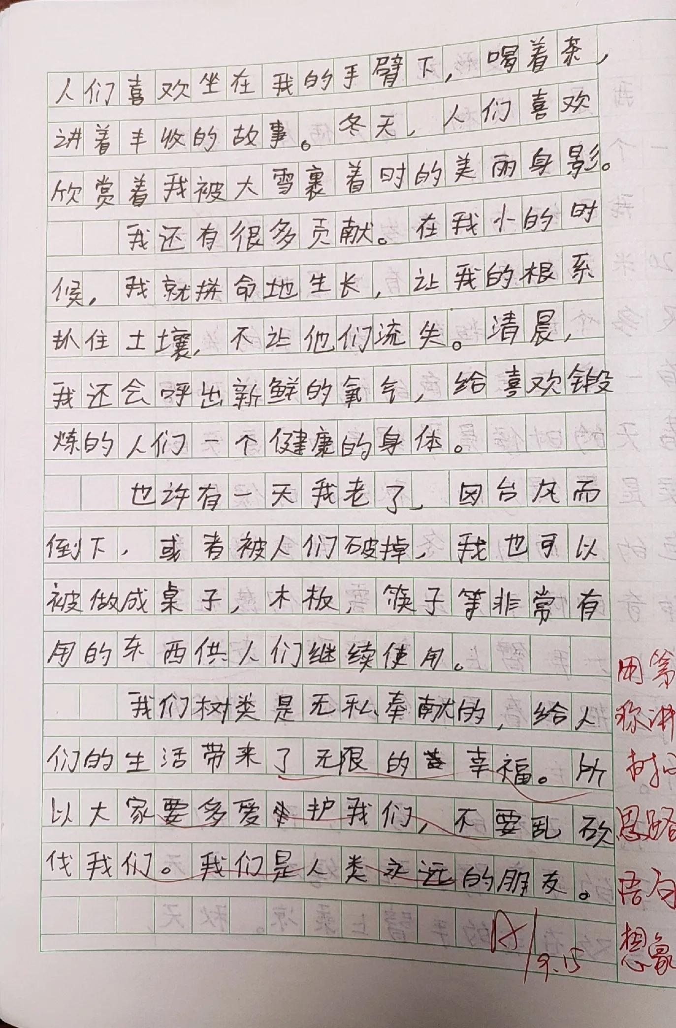 小学生六年级作文《变形记》