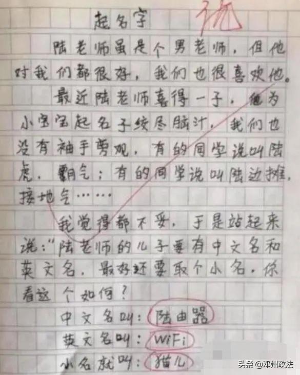 让人爆笑的小学生作文（小学生可以笑死人的作文）