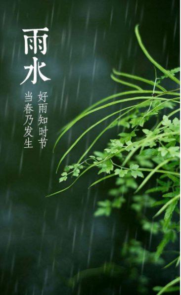 雨水时节诗句（雨水诗句古诗大全）