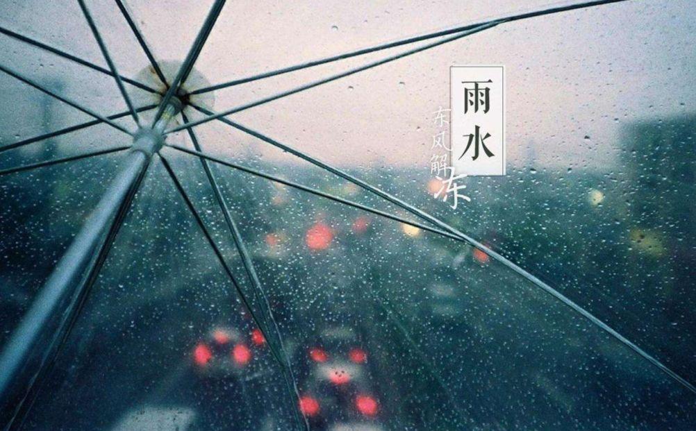 雨水时节诗句（雨水诗句古诗大全）