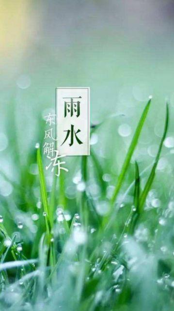 雨水时节诗句（雨水诗句古诗大全）