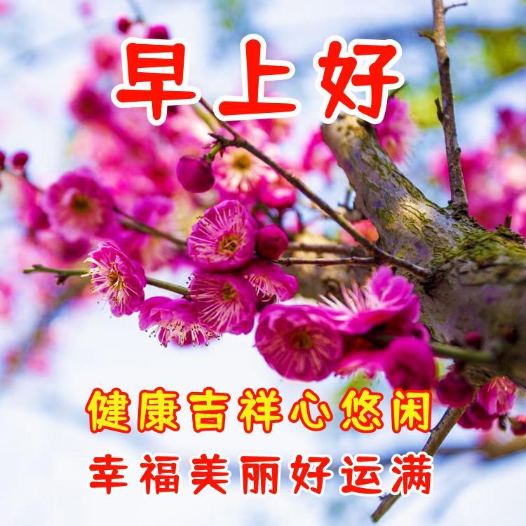 祝老人健康长寿的吉祥语（早上吉祥问候图片大全）