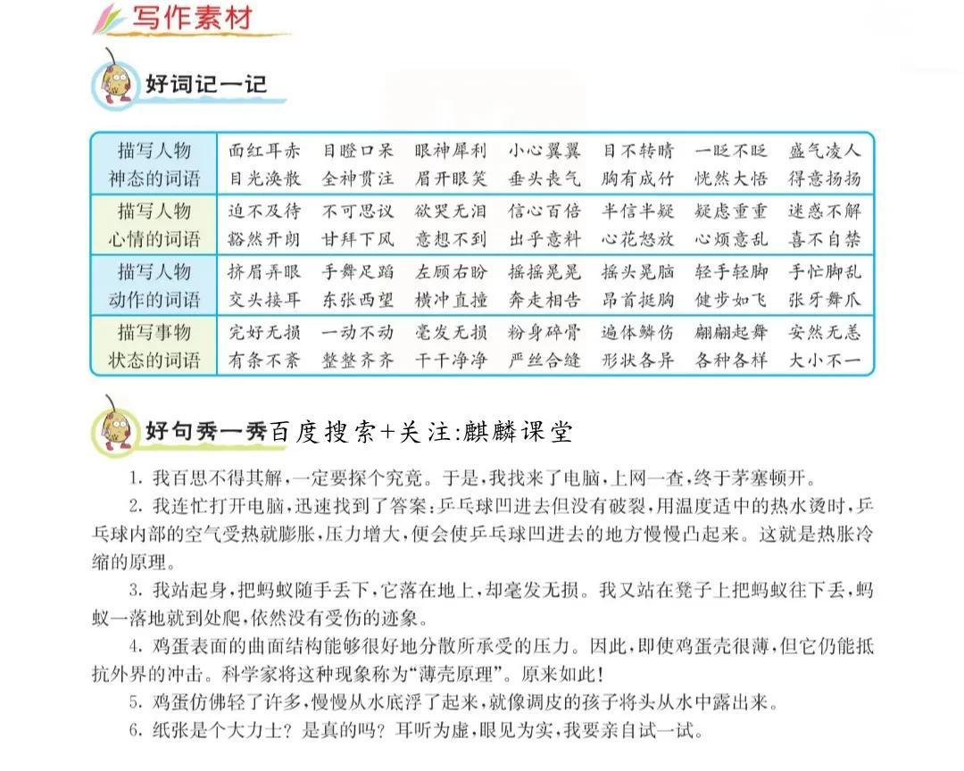 三年级语文下册我做了一项小实验范文（《我做了一项小实验》作文怎么写）