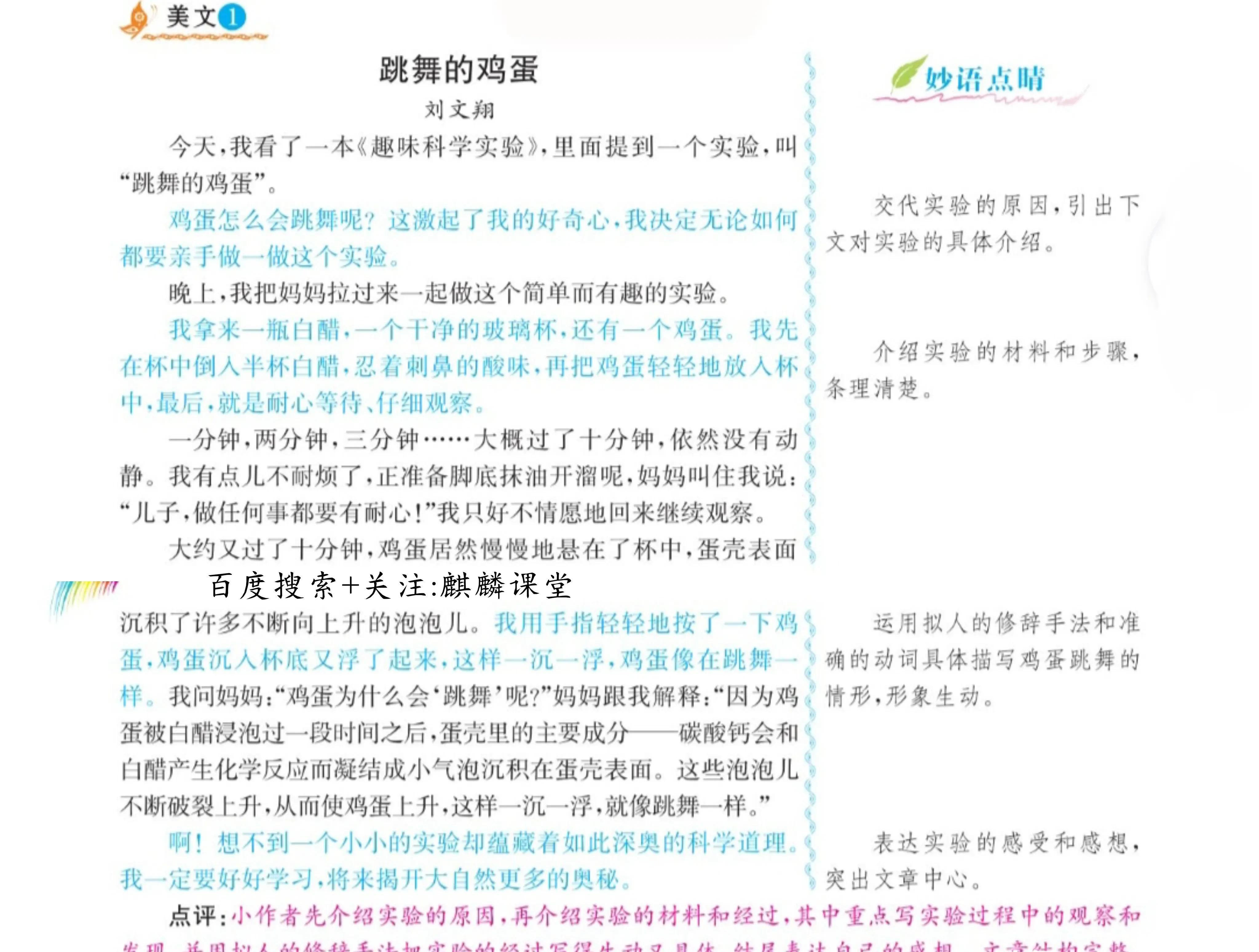 三年级语文下册我做了一项小实验范文（《我做了一项小实验》作文怎么写）