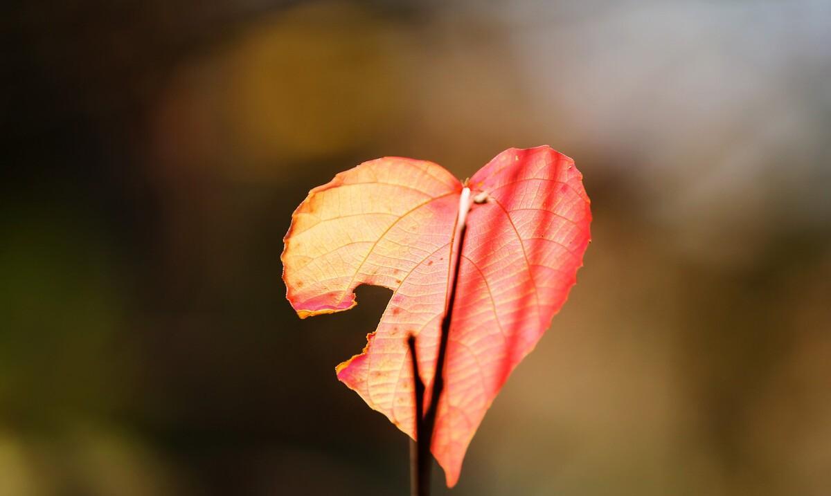 三月八日写给妈妈的一封信