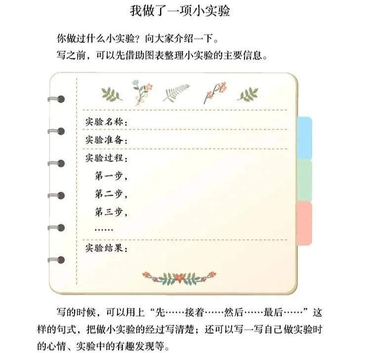 三年级语文下册我做了一项小实验范文（《我做了一项小实验》作文怎么写）