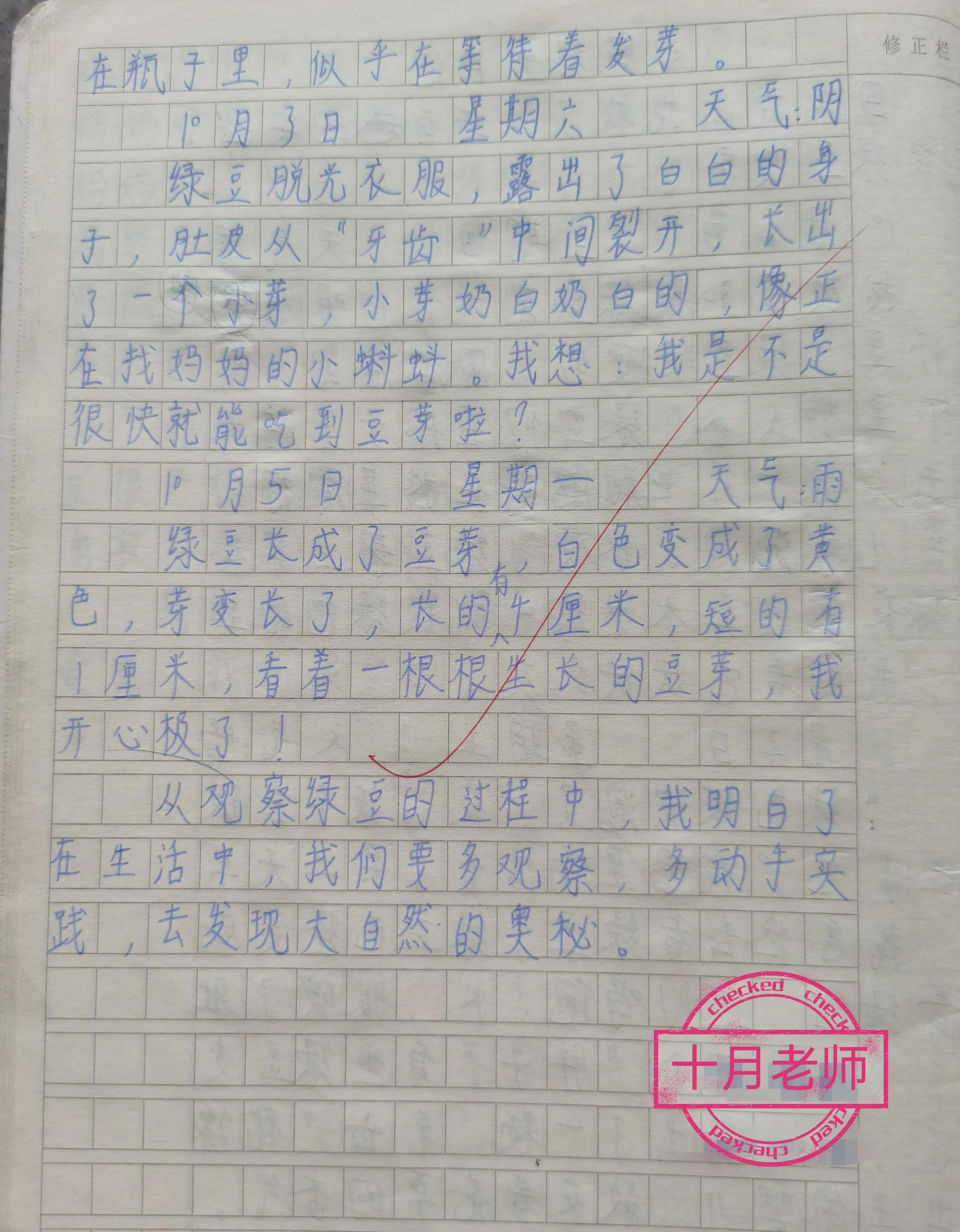 观察绿豆日记400字优秀作文