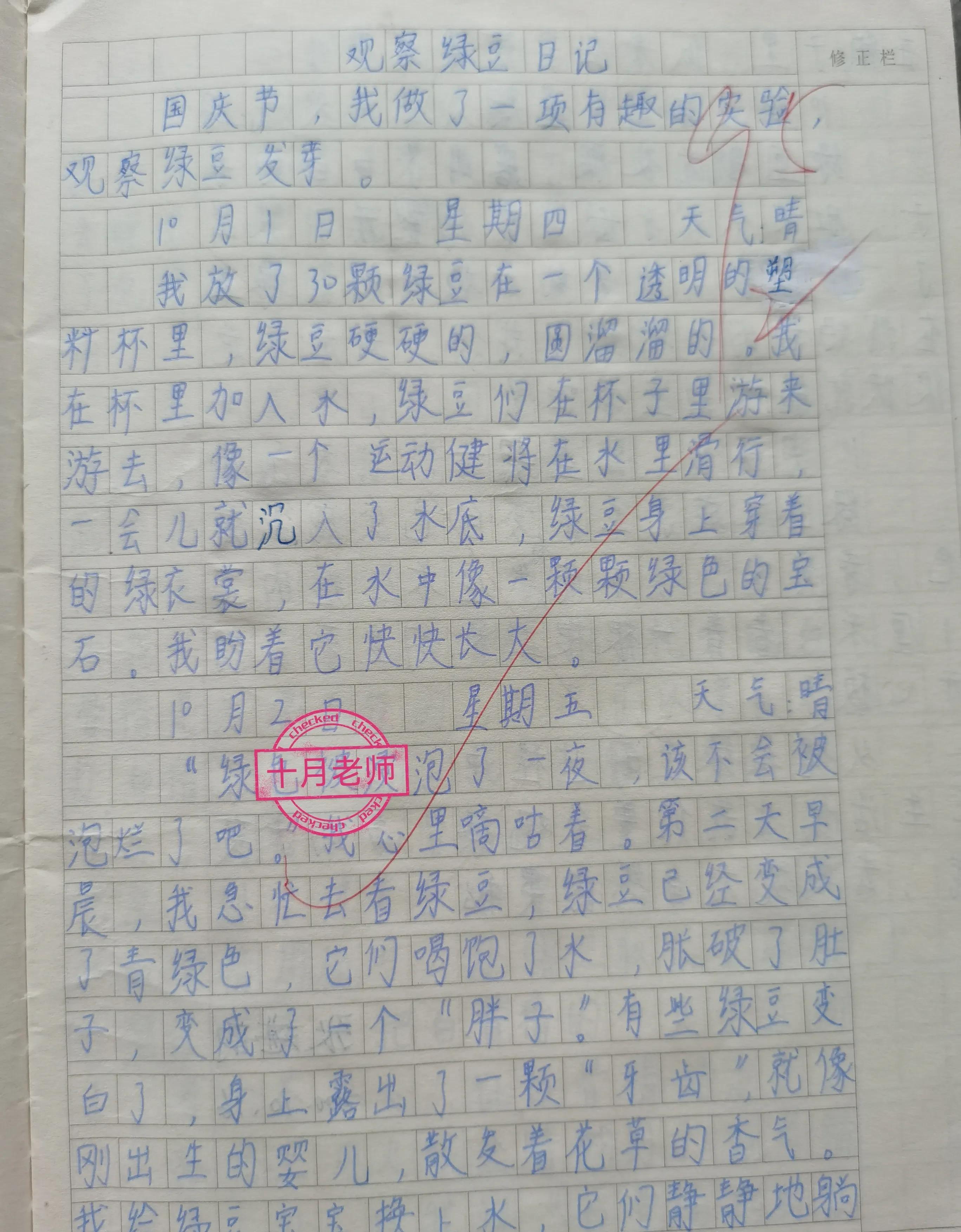 观察绿豆日记400字优秀作文