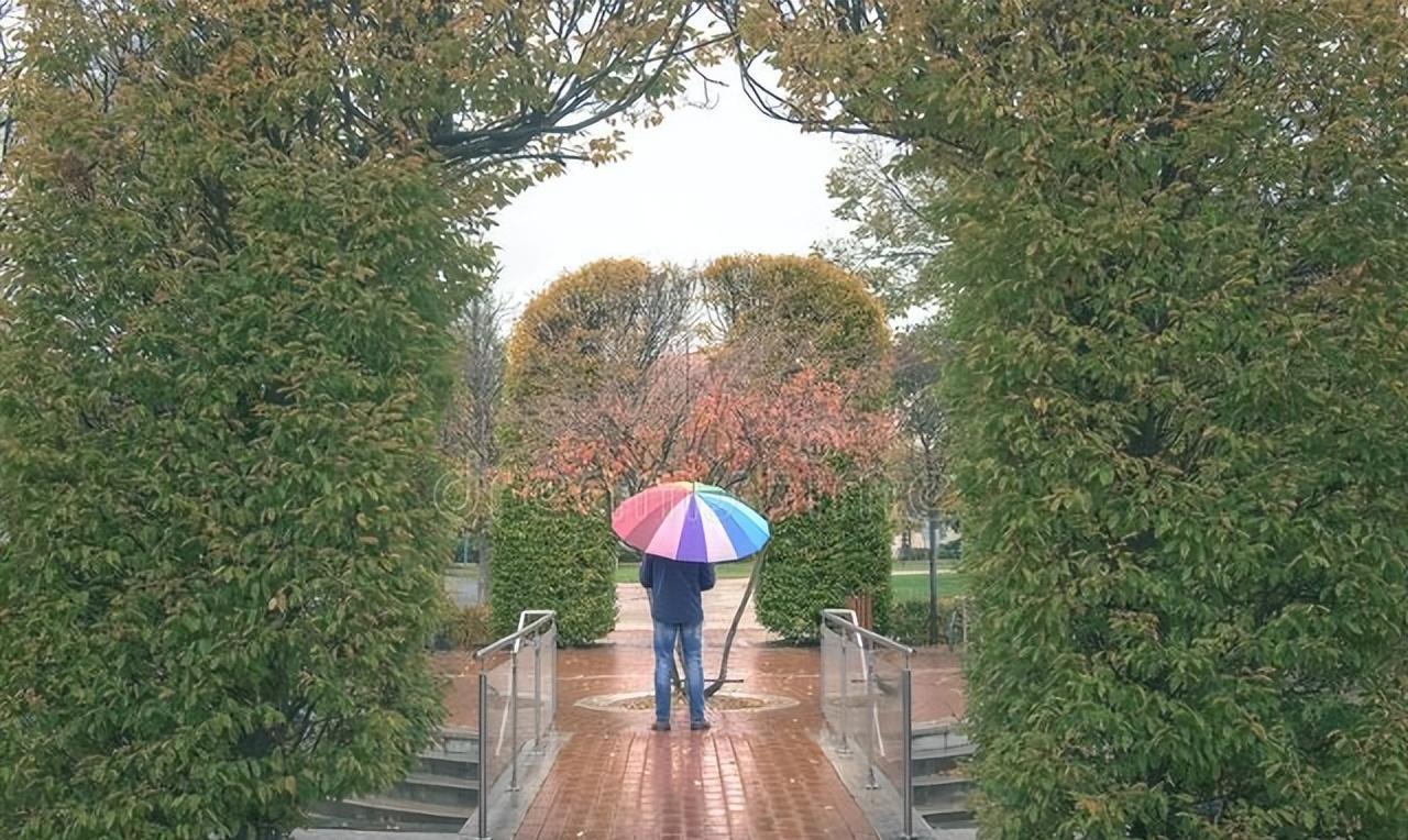 散文《雨中漫步》