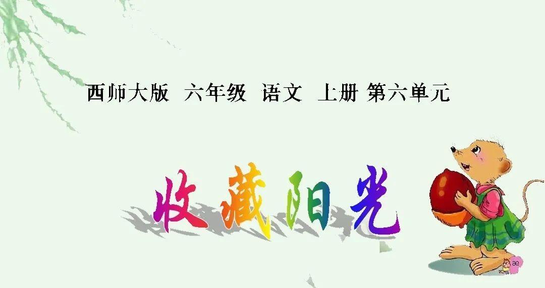 收藏阳光作文600字六年级