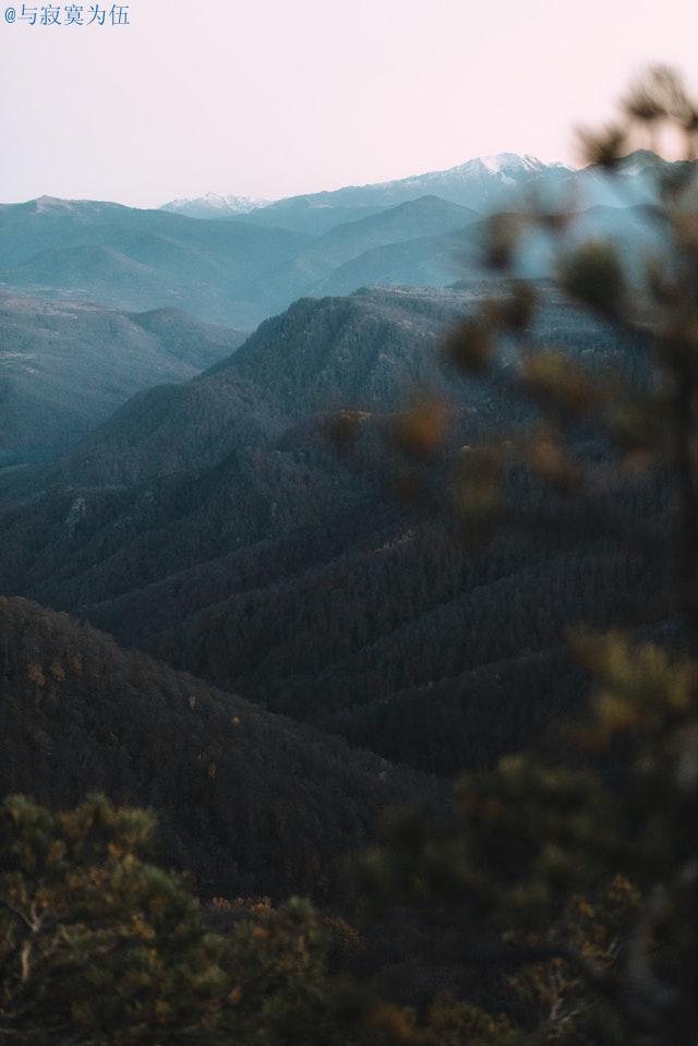 邀请函模板