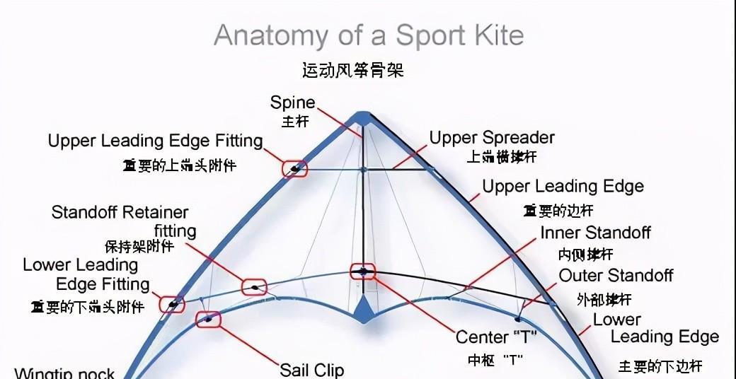 放风筝作文精选