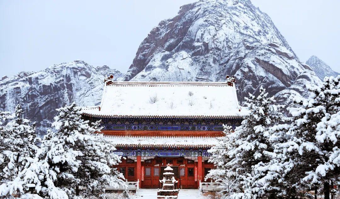 桃花飞雪的诗句（十首绝美诗词,共赏桃花与飞雪的诗）