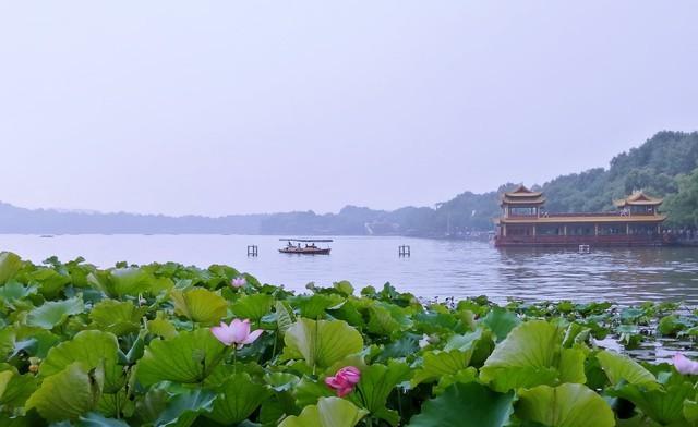 古诗词含风飞花令（飞花令含有风的诗句大全）